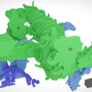 3D-реконструкция показывает ветвистый побег (показан зелёным цветом) и корневую систему (синим и фиолетовым).