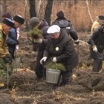 "Сохраним лес": в Липецкой области высадят 12 тысяч саженцев