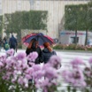 Тишковец: циклон принес в Москву похолодание и дожди