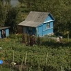 Владимирцев приглашают к участию в агроволонтерском проекте "Добрый огород"