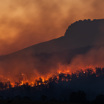 Лесной пожар в австралийском штате Тасмания.