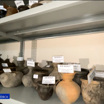В честь Дня археолога хабаровчанам показали "секретную" лабораторию и коллекцию Арсеньева
