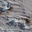 Снимок колонии с помощью спутника Maxar WorldView-3, сделанный 8 октября 2021 года.
