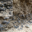 Огромное количество обсидиановых орудий нашли археологи в ходе раскопок в долине Аваш.