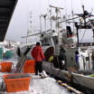"Путин рассердился": японские рыбаки страдают от антироссийских санкций