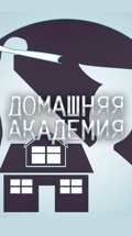 Домашняя академия