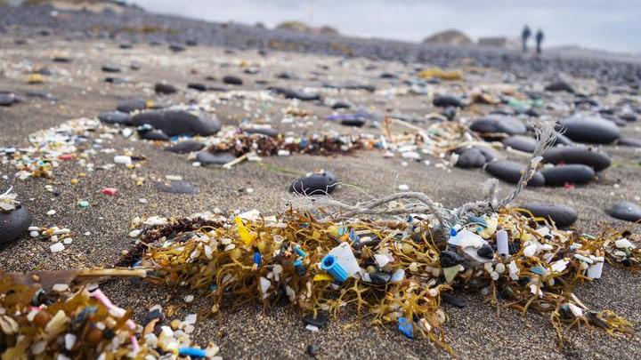 Крошечные микробы уже приспособились к переработке пластикового мусора океана.