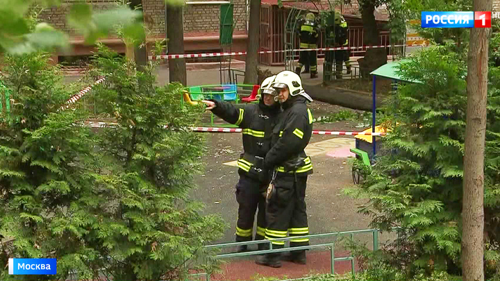 Дерево рухнуло на песочницу с играющими детьми: один малыш погиб