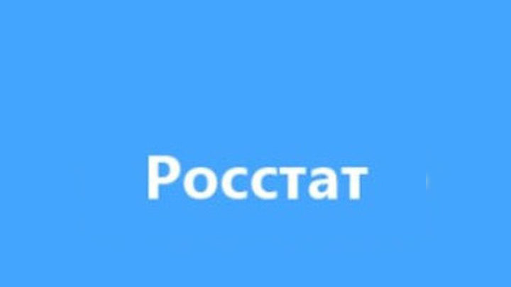 Сергей Галкин назначен новым руководителем Росстата
