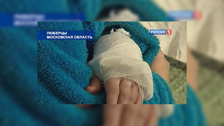 Хлопотные Сутки Перед Новым Годом