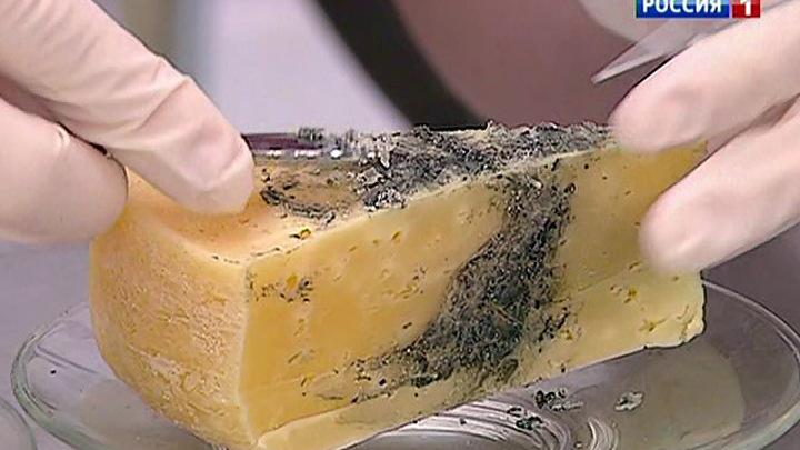 Почему сыр в холодильнике. Дефекты сыра. Пороки сыра. Сыр покрытый плесенью. Вспучивание сыров.