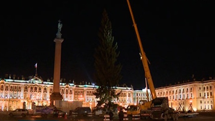 Главную новогоднюю ель Санкт-Петербурга доставили на Дворцовую площадь