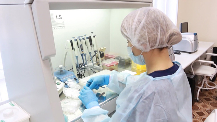 В России разработан первый ПЦР-тест для диагностики малярии