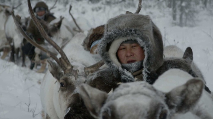 "Я – король леса": появился новый фрагмент фильма "Россия. Нам 30 лет!"