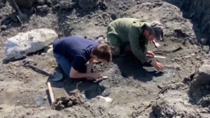 В Ульяновской области обнаружили кости неизвестных науке ихтиозавров