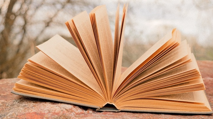 Литературные премии "Большая книга" и "Лицей" объявили о старте нового сезона