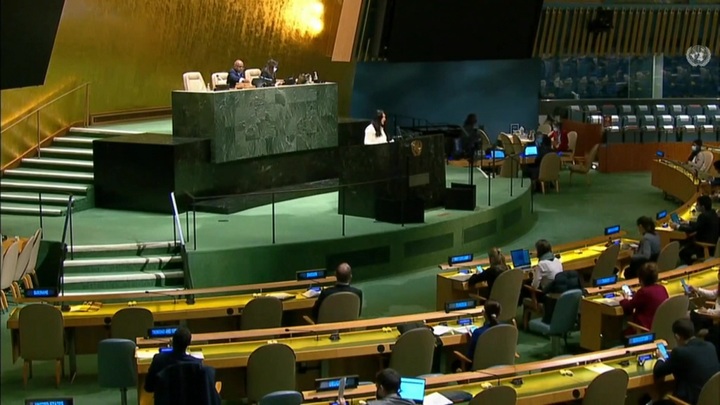 Генассамблея ООН одобрила резолюцию РФ по борьбе с героизацией нацизма