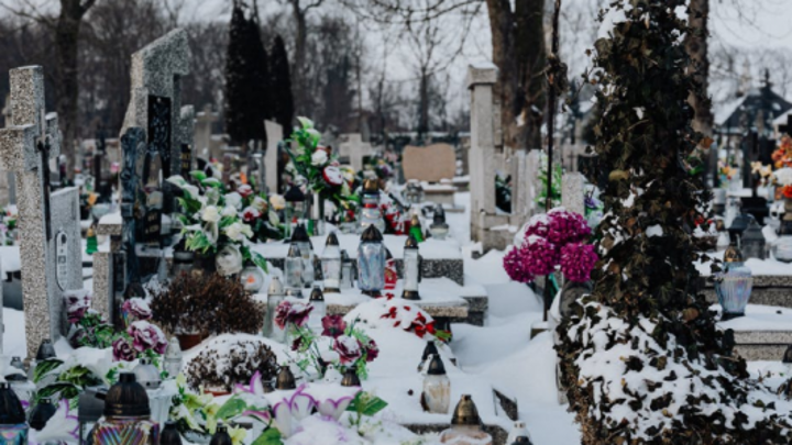 СК заинтересовался взятками на нижегородском кладбище