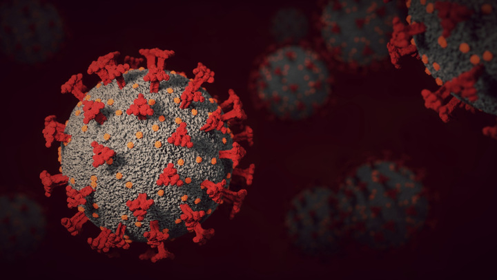 Команда исследователей изучила, как инфекция SARS-CoV-2 повлияла на экспрессию эндогенных ретровирусных элементов  в лимфоцитах пациентов.