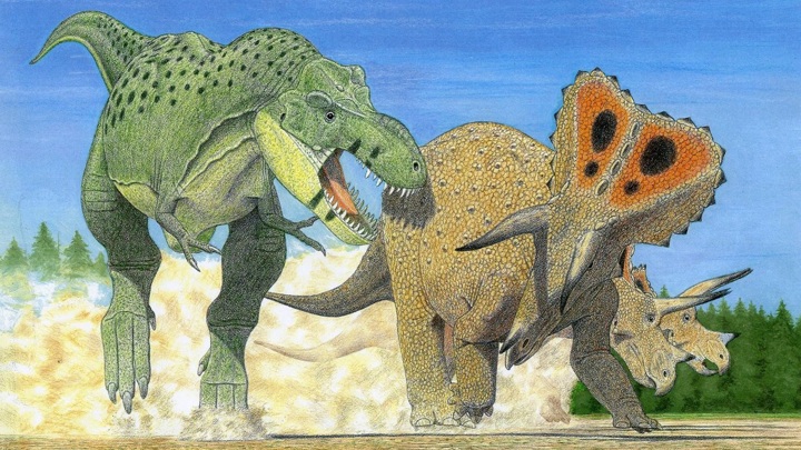 Тираннозавр на падает на бронированного трицератопса.