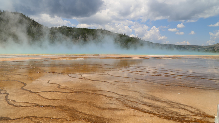 Разнообразие геотермальных источников парка Йеллоустон давно привлекает внимание учёных.