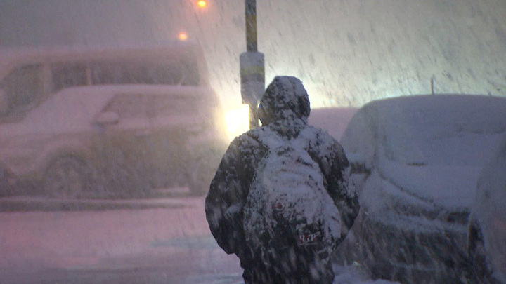 Москву накрыл сильнейший снегопад