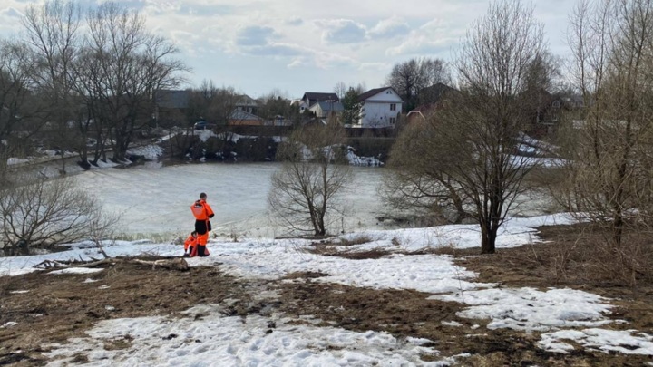 Прокуратура Москвы