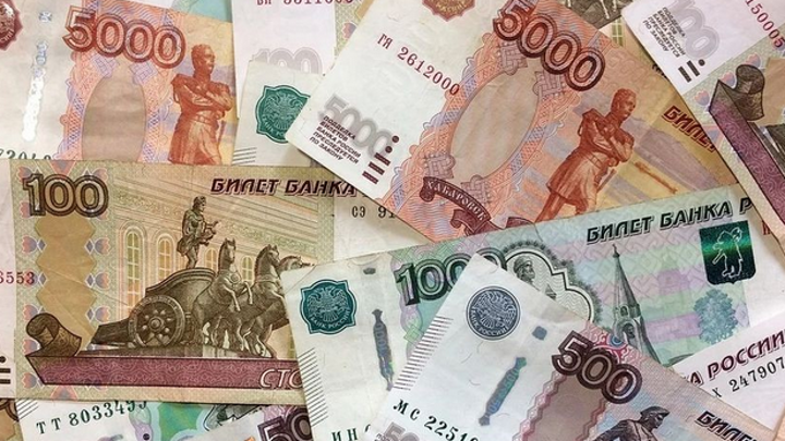 Руководитель одного из предприятий Ставрополья похитил 100 миллионов рублей