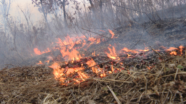Пожарный погиб на тушении природного пожара в Приморье