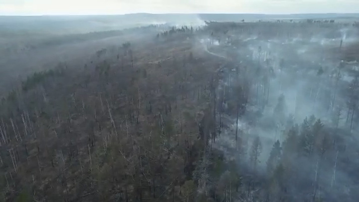 Авиабаза охраны лесов: угрозы перехода пожара на территорию населенных пунктов Усть-Удинского района нет