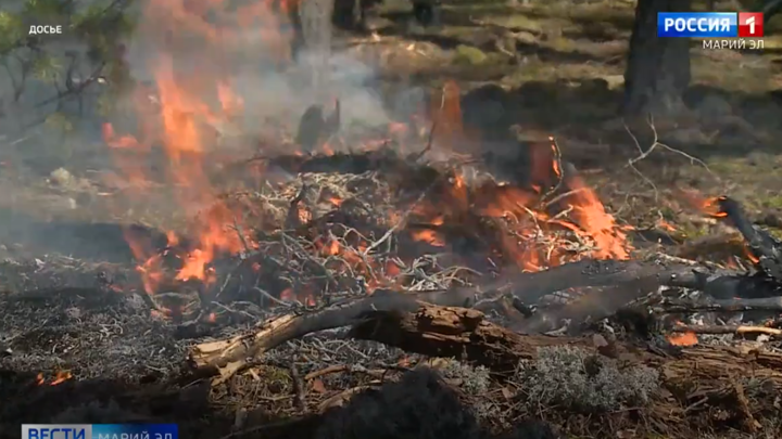 Два лесных пожара произошли в Куярском лесничестве Марий Эл