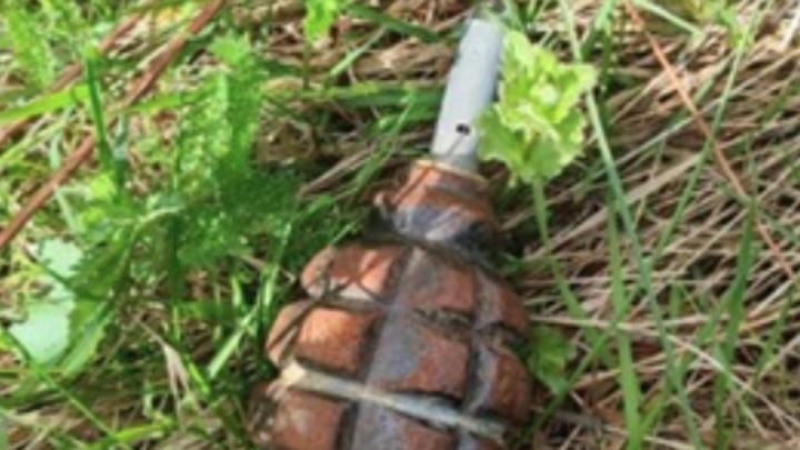В Воронеже 5-летняя девочка нашла гранату в детском саду