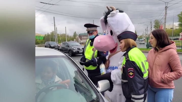 Молоко вместо алкоголя: в Чувашии для водителей провели необычную акцию