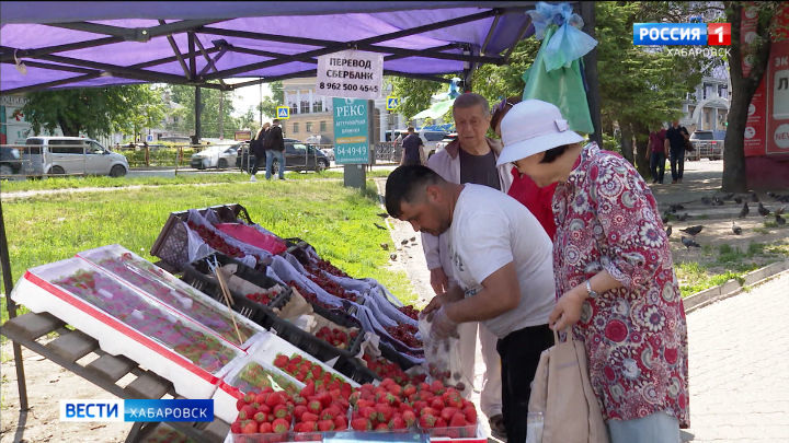 Новости Россия 24 Фото