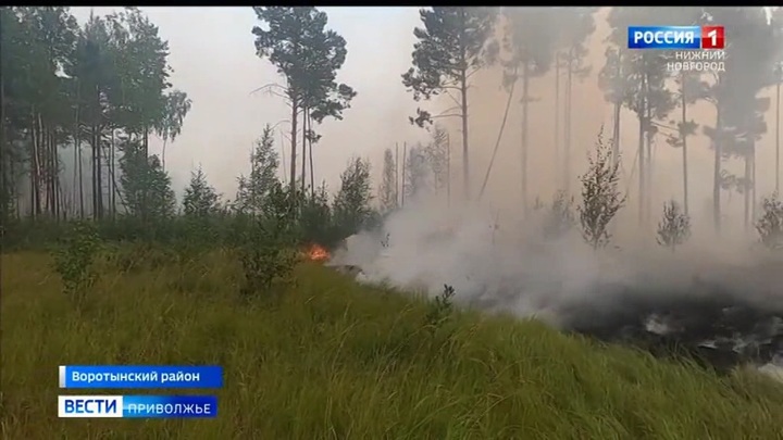 Пожары в нижегородской области карта