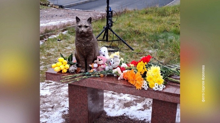 Кот на скамейке памятник