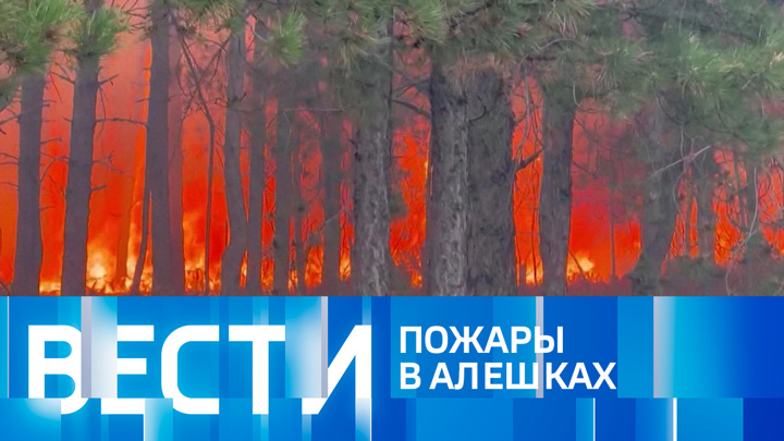 Эфир от 15.07.2023 (11:00)